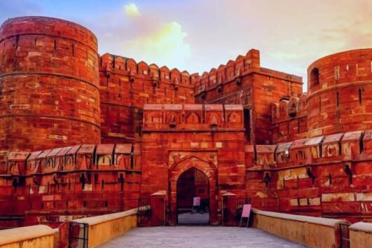 same day tour by car